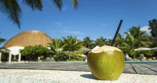 Advantages and Disadvantages of Drinking Coconut Water