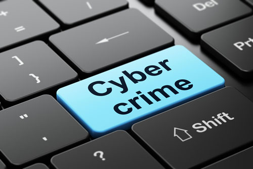 Cyber Crime Report