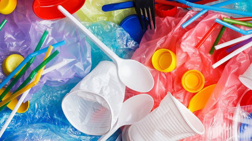 Single Use Plastic Ban