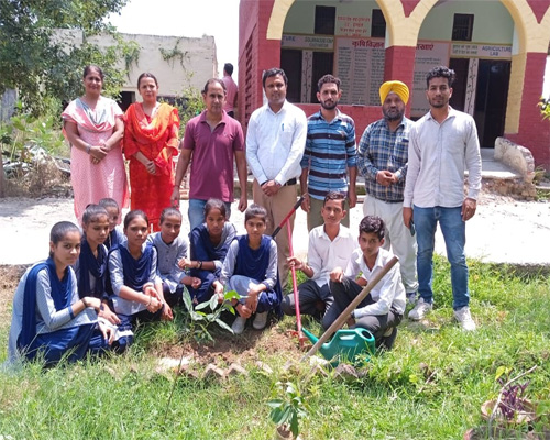 Students planted saplings on the occasion Kargil Vijay Diwas