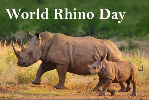 Happy World Rhino Day 2022 Messages