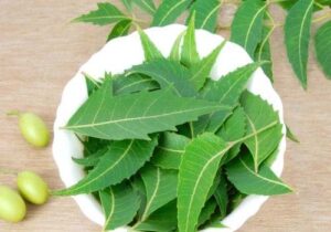 use neem leaves