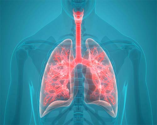 symptoms of lung inflammation
