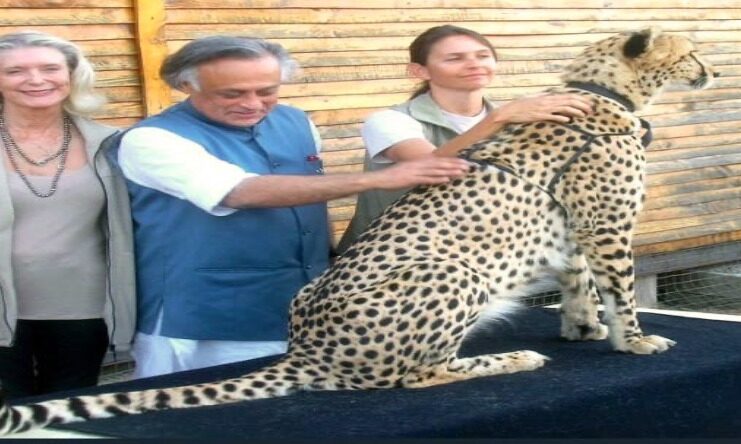 Jairam Ramesh On Cheetah Project