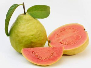 ripe guava