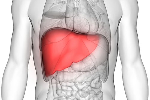 Liver Inflammation Problem