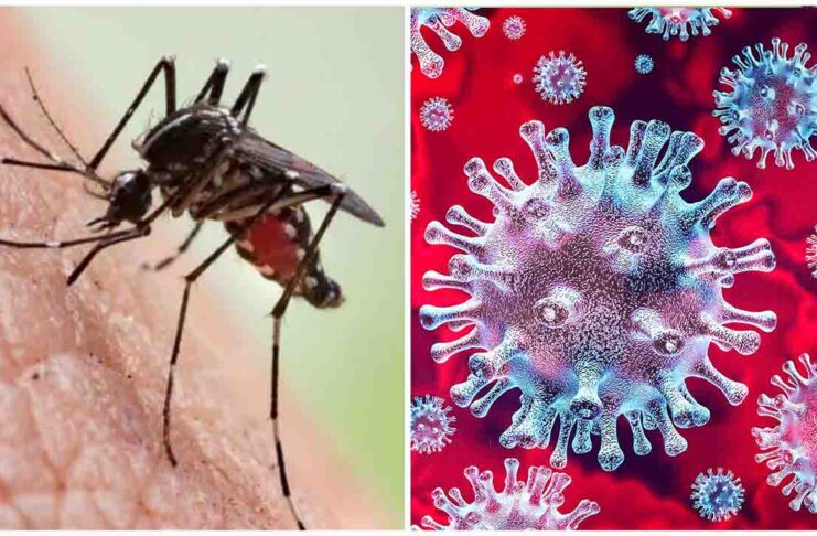 Covid-19 vs Dengue